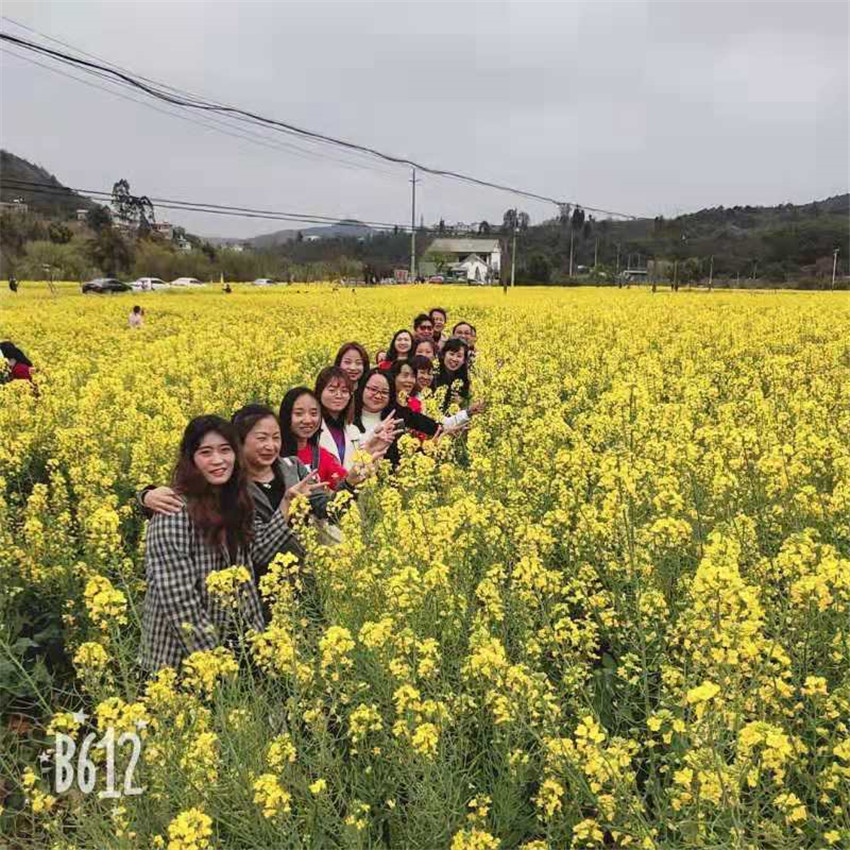 988pay钱包 -轻松支付,放心选择