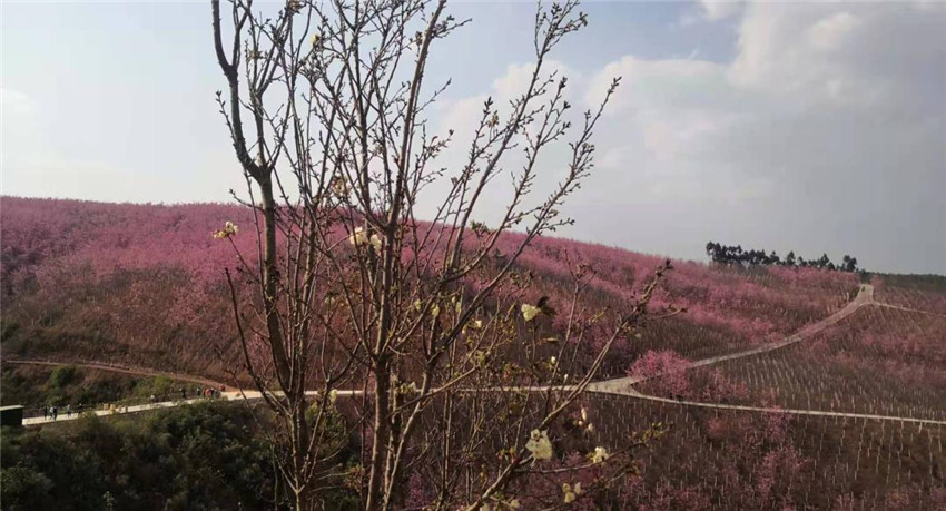 988pay钱包 -轻松支付,放心选择